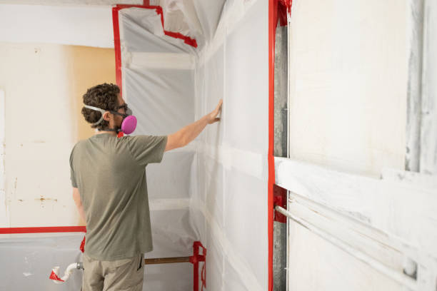 Best Water Damage & Mold Remediation  in Twin Lakes, CA